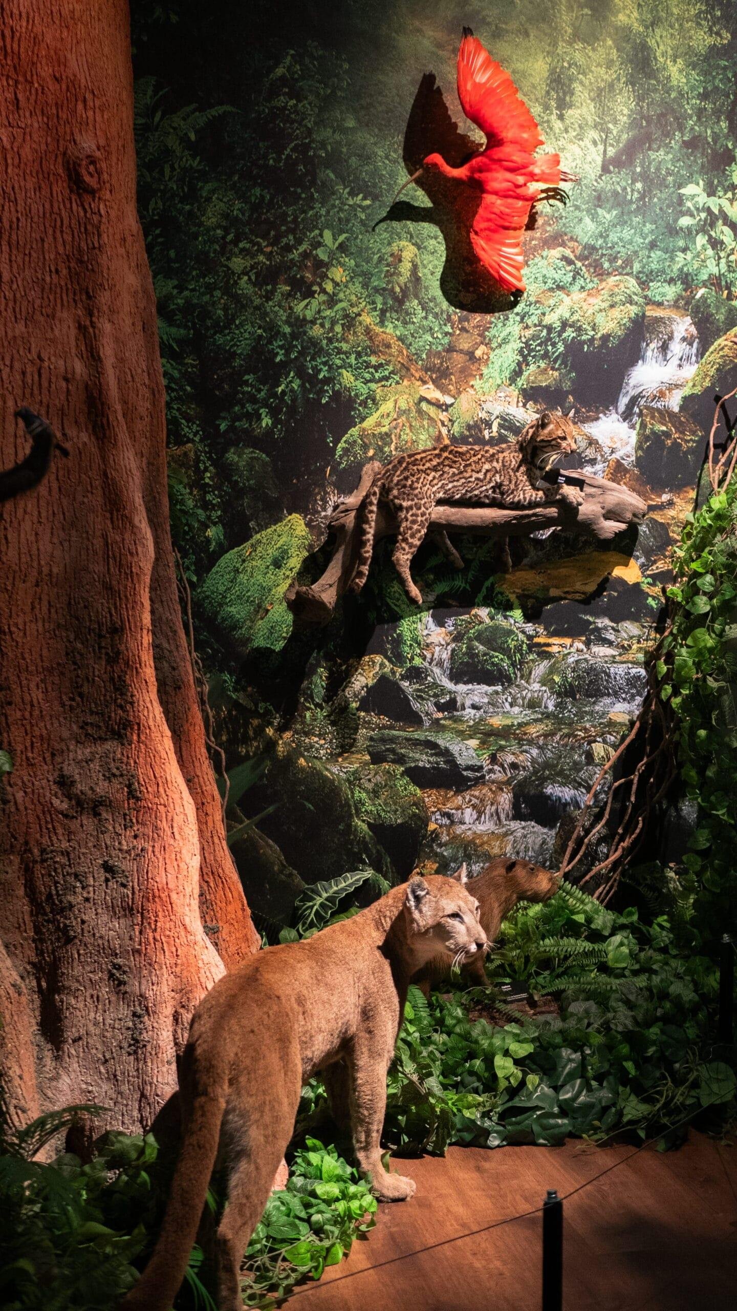 Suriname Museum 1